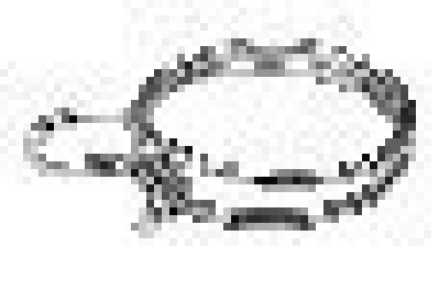 Хомут для шланга